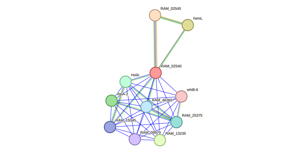 STRING protein interaction network