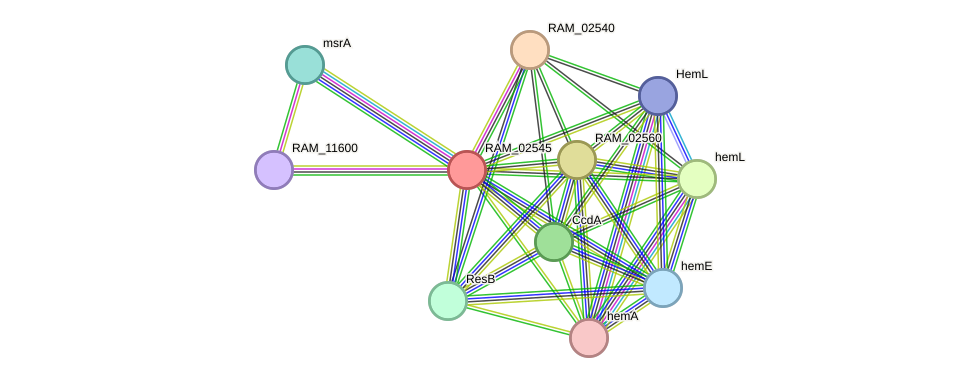 STRING protein interaction network