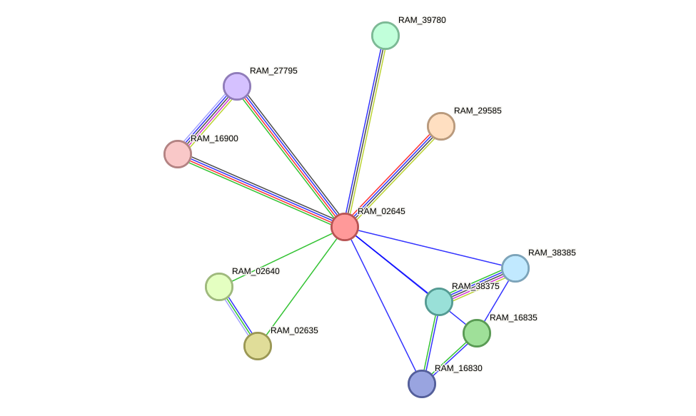 STRING protein interaction network