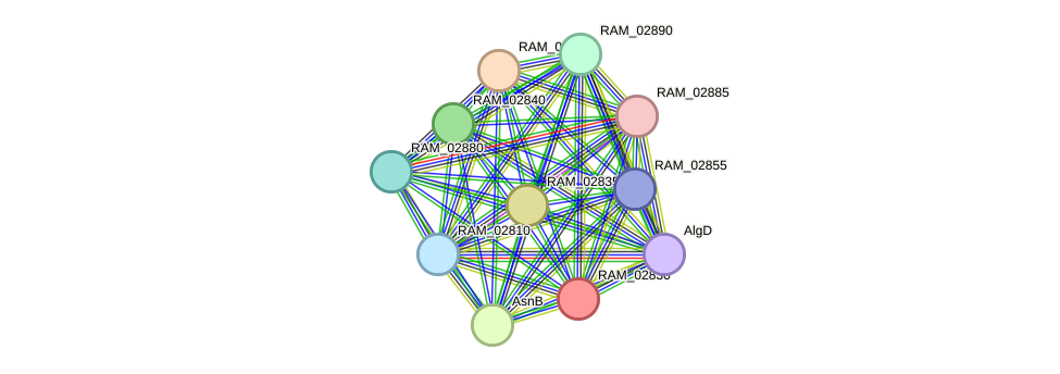 STRING protein interaction network