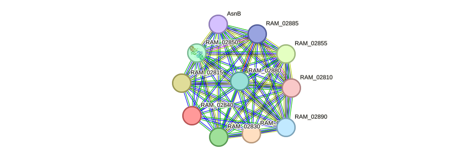 STRING protein interaction network