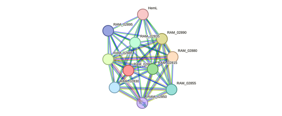 STRING protein interaction network