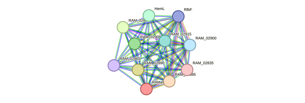 STRING protein interaction network