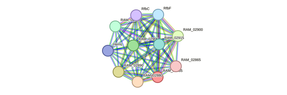STRING protein interaction network