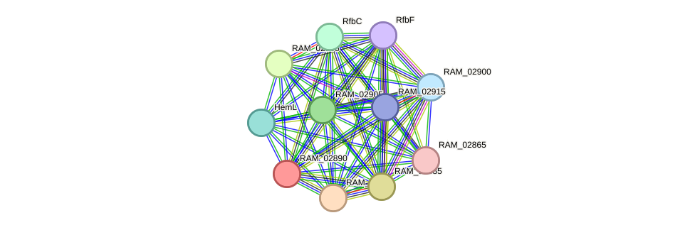 STRING protein interaction network
