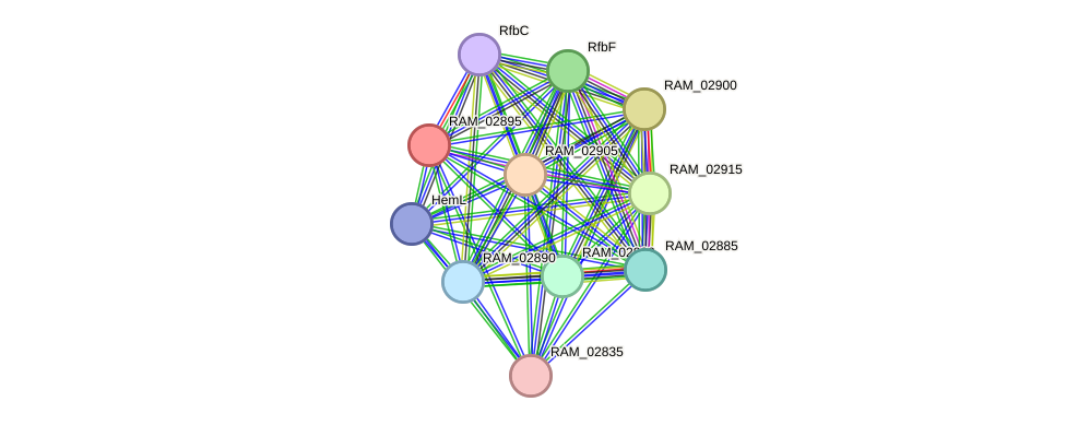 STRING protein interaction network