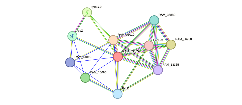 STRING protein interaction network