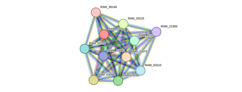 STRING protein interaction network
