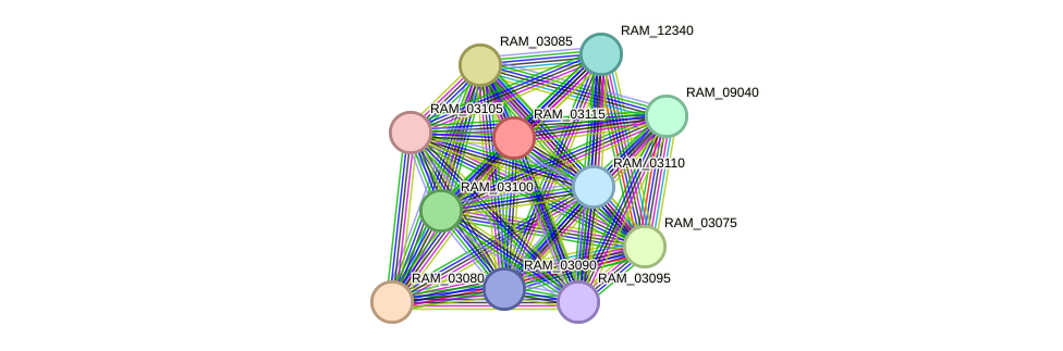 STRING protein interaction network