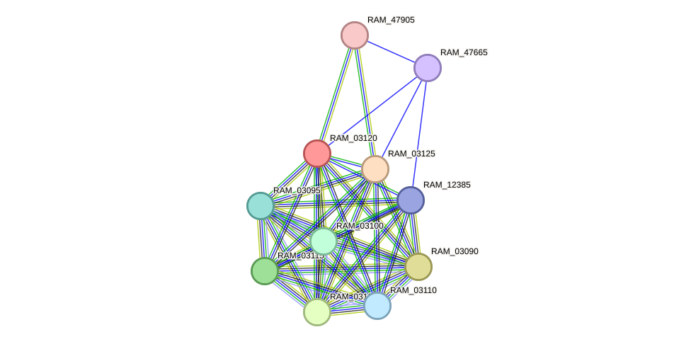 STRING protein interaction network