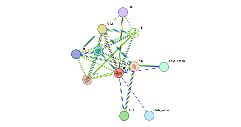 STRING protein interaction network