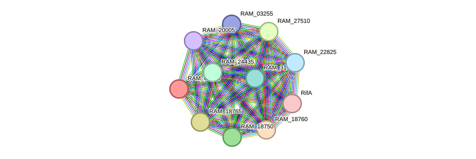 STRING protein interaction network