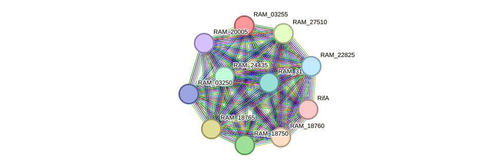 STRING protein interaction network