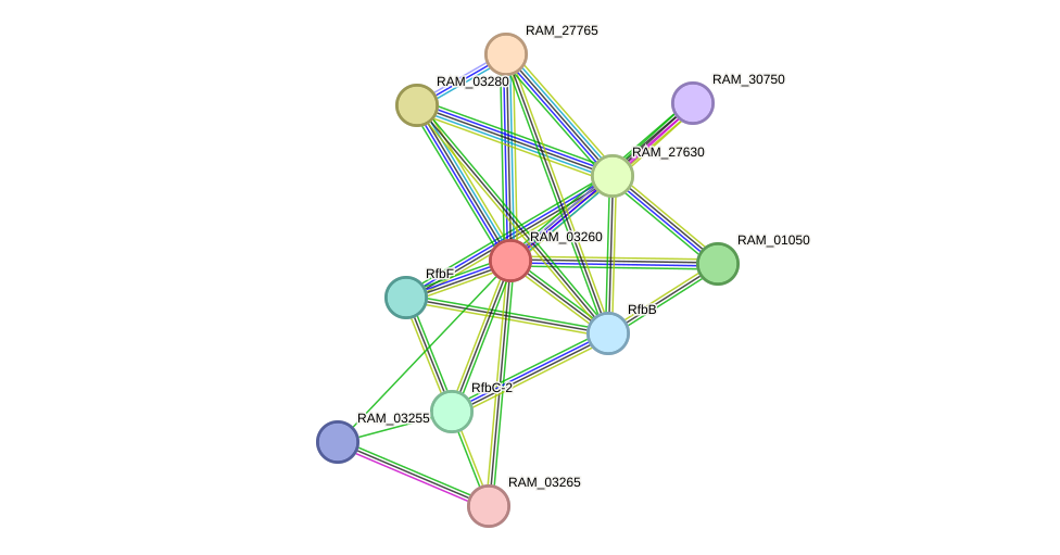 STRING protein interaction network