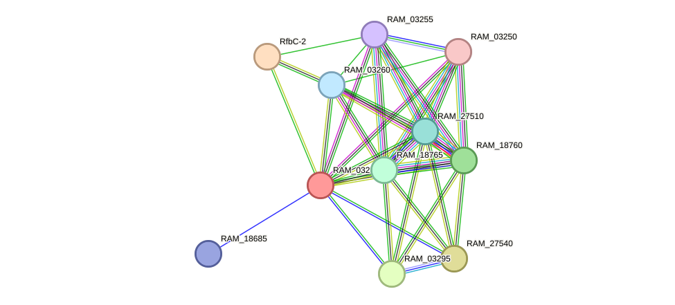 STRING protein interaction network