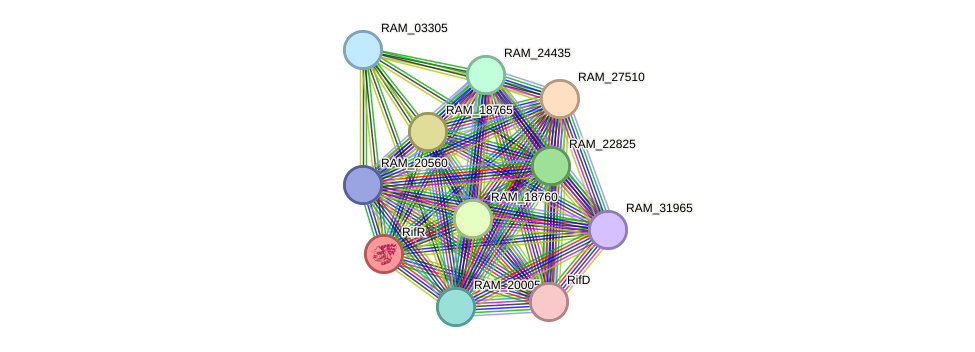 STRING protein interaction network