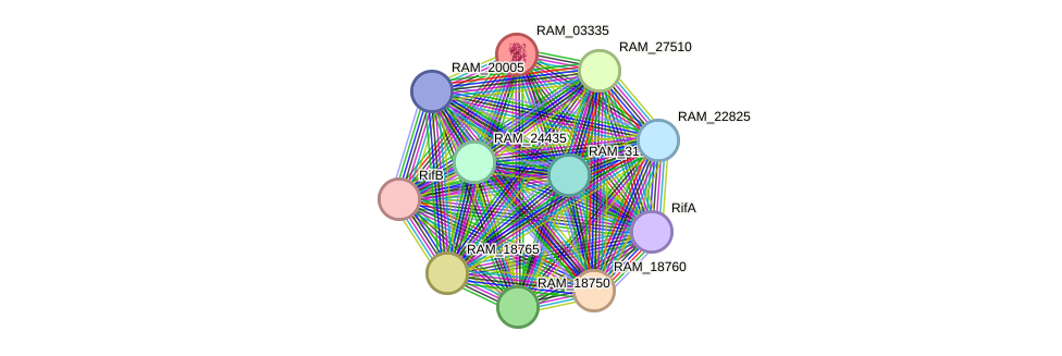 STRING protein interaction network