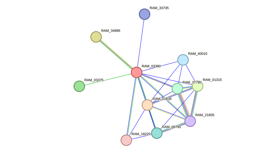 STRING protein interaction network
