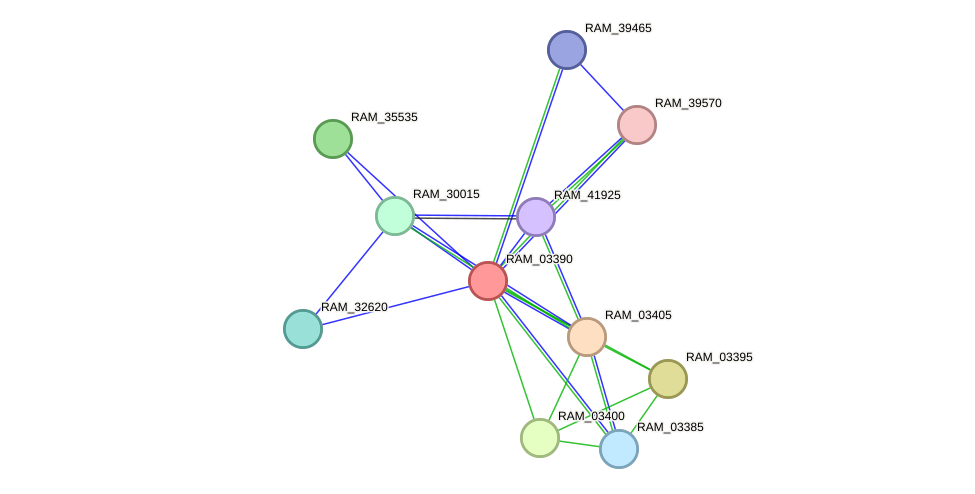 STRING protein interaction network