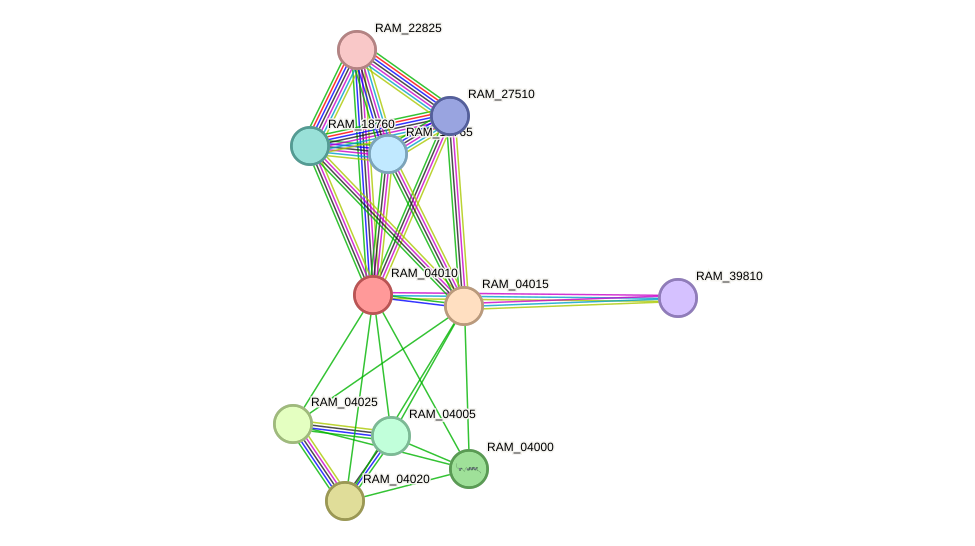 STRING protein interaction network