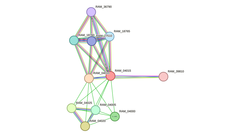 STRING protein interaction network