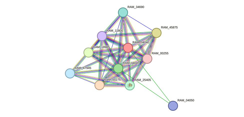 STRING protein interaction network