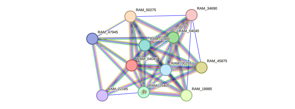 STRING protein interaction network