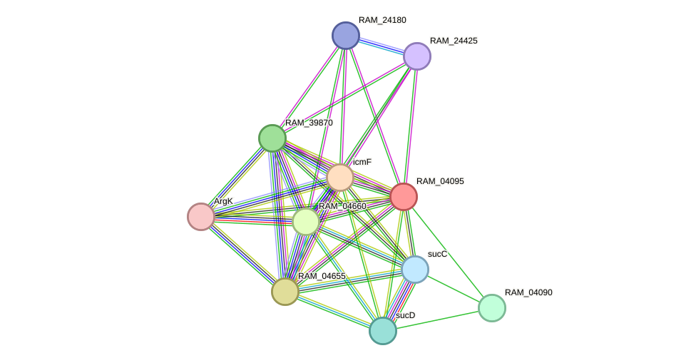 STRING protein interaction network