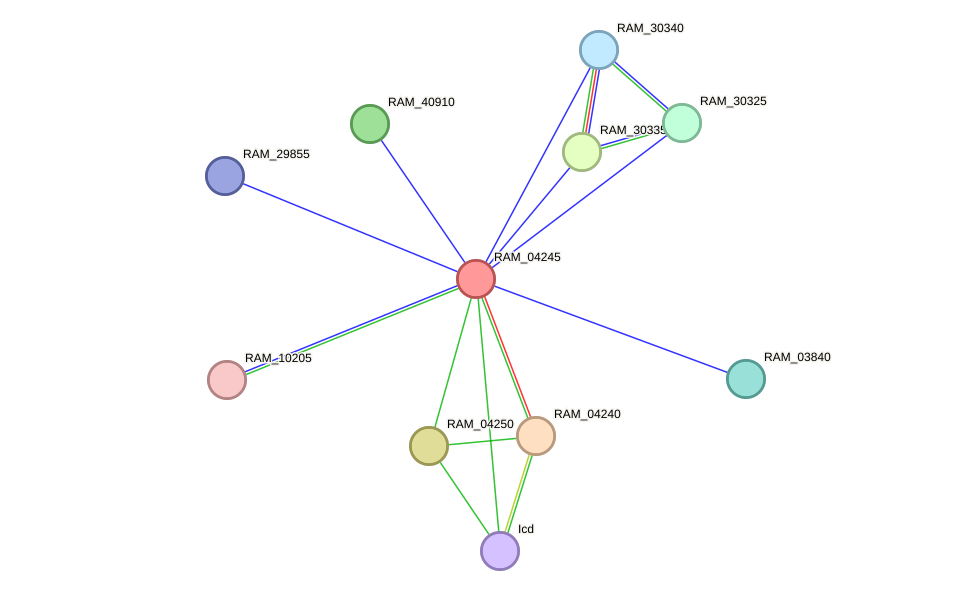 STRING protein interaction network