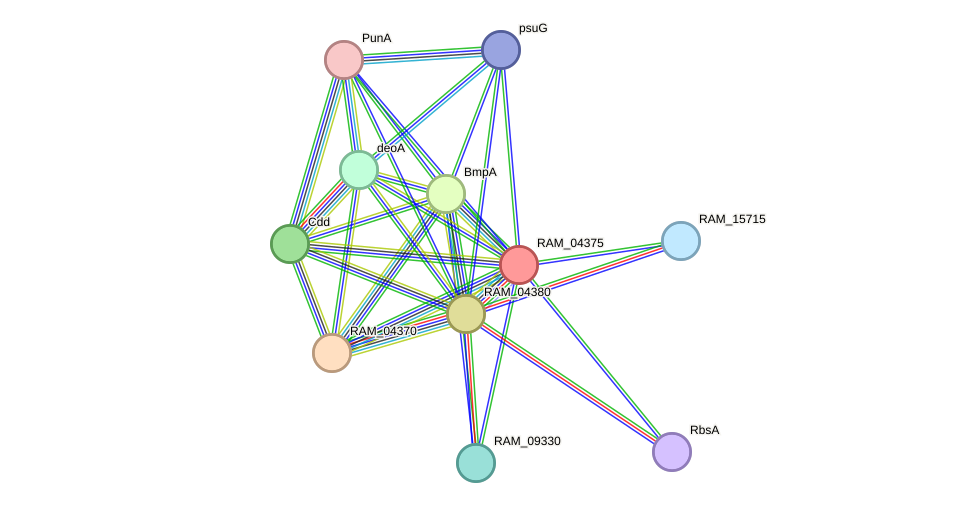 STRING protein interaction network