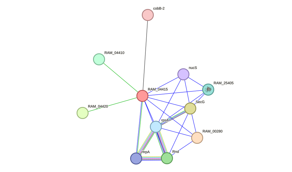 STRING protein interaction network