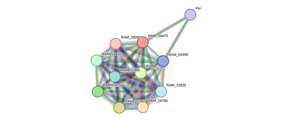 STRING protein interaction network