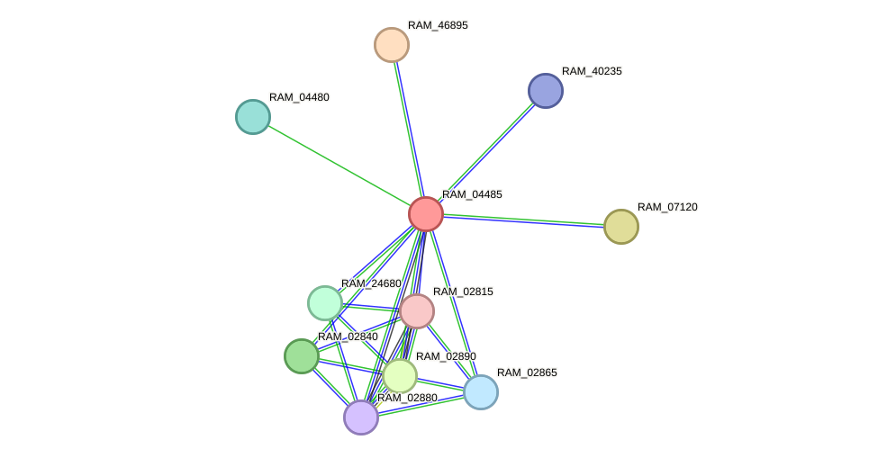 STRING protein interaction network
