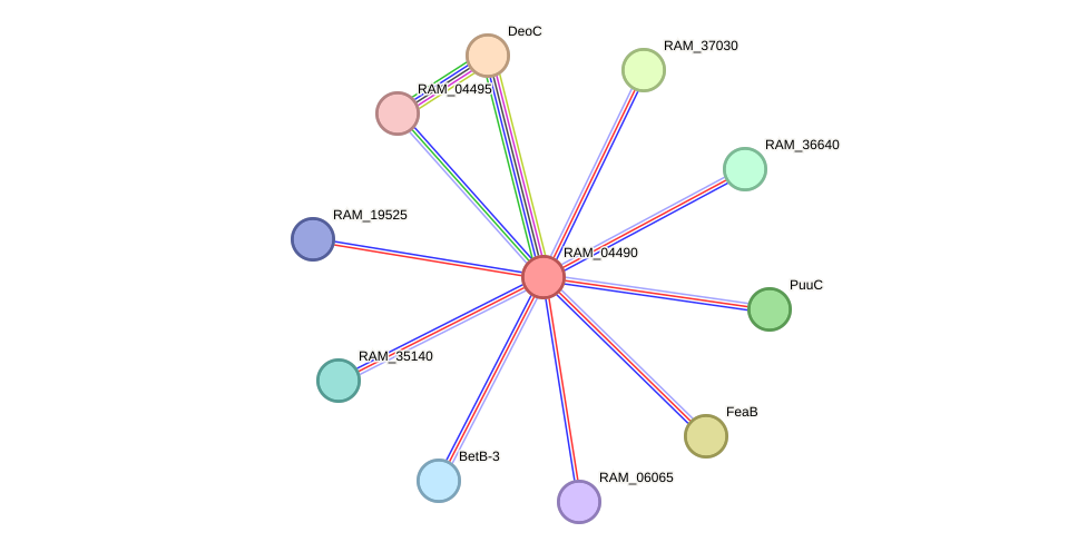 STRING protein interaction network