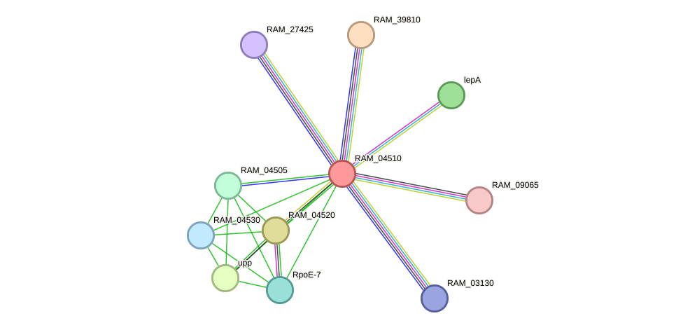 STRING protein interaction network