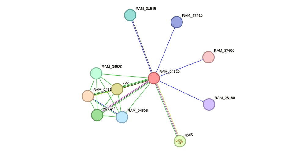 STRING protein interaction network
