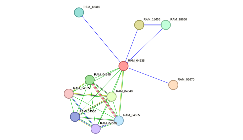 STRING protein interaction network