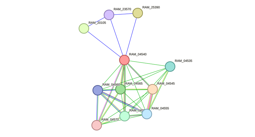 STRING protein interaction network