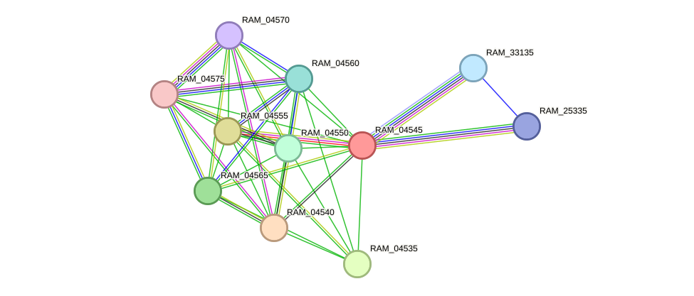 STRING protein interaction network