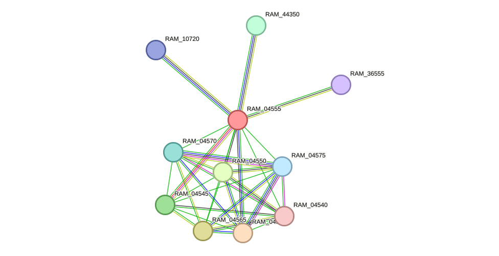 STRING protein interaction network