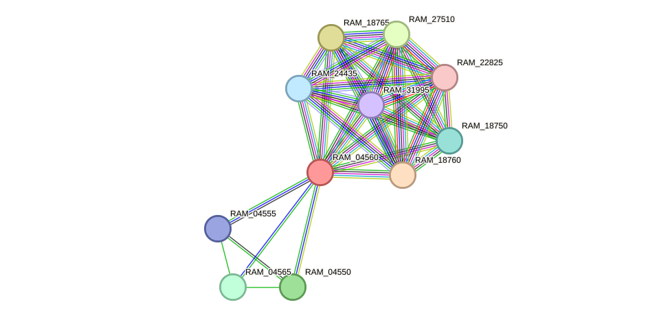 STRING protein interaction network
