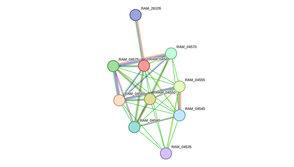 STRING protein interaction network