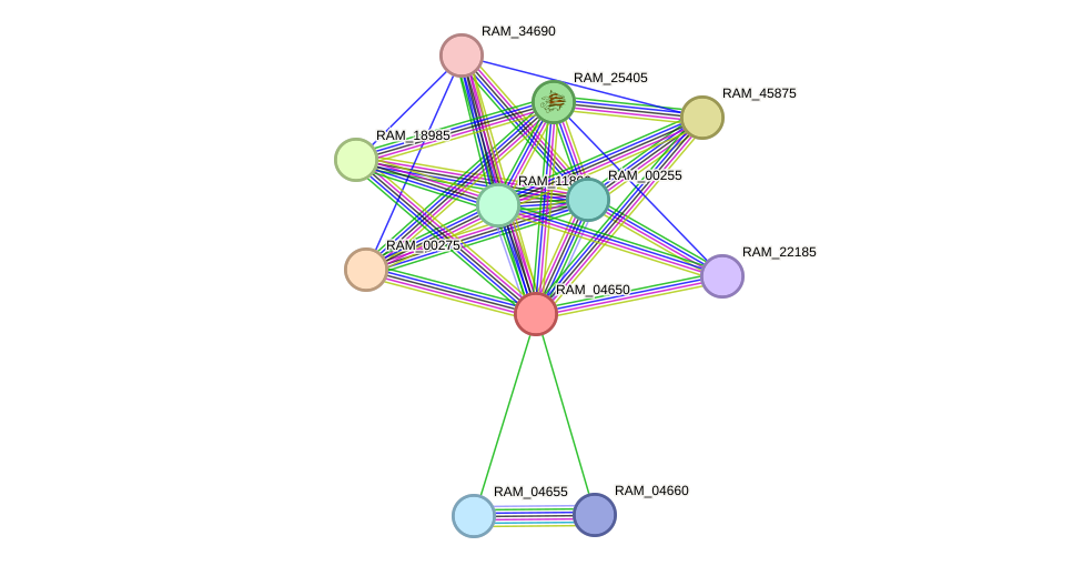 STRING protein interaction network