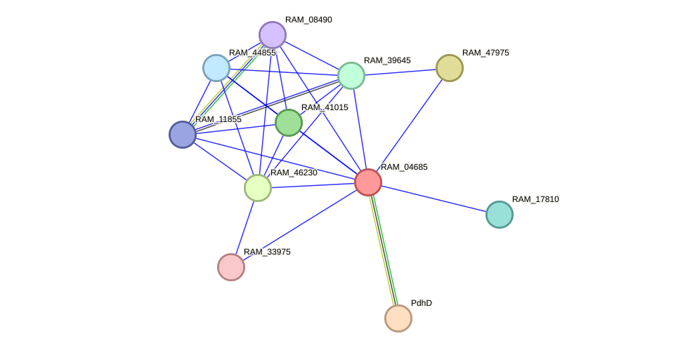 STRING protein interaction network