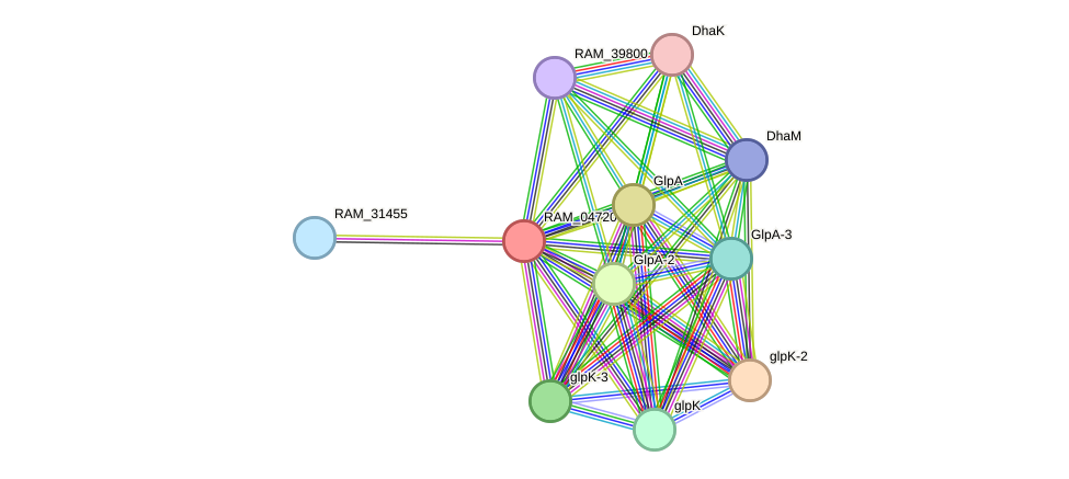 STRING protein interaction network