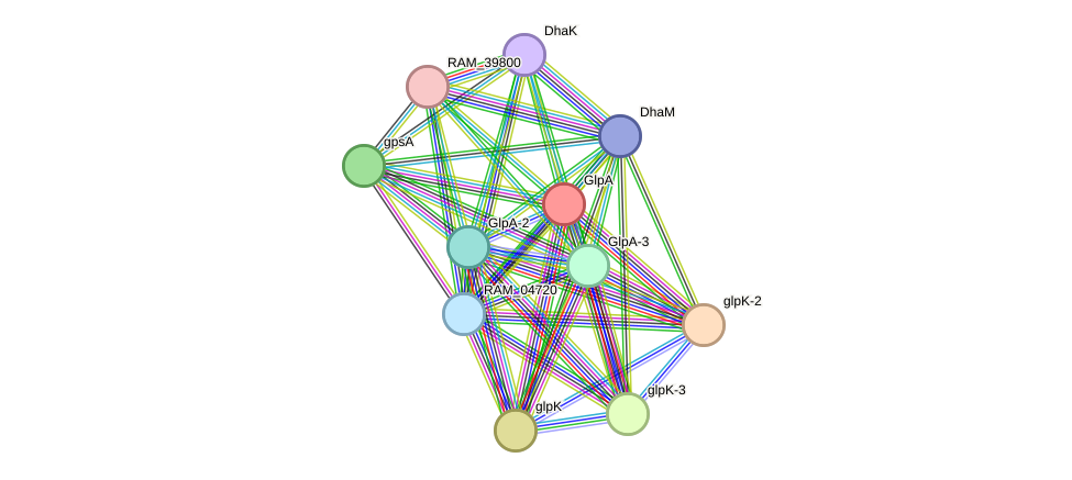 STRING protein interaction network