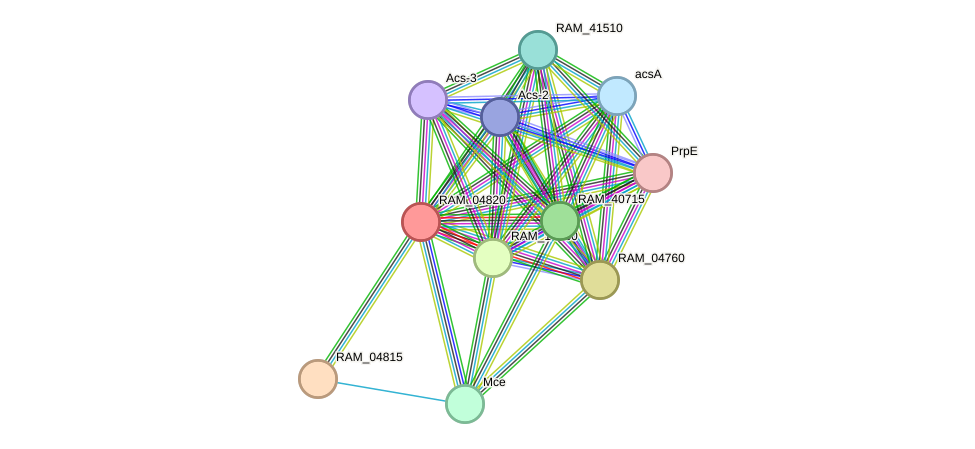STRING protein interaction network