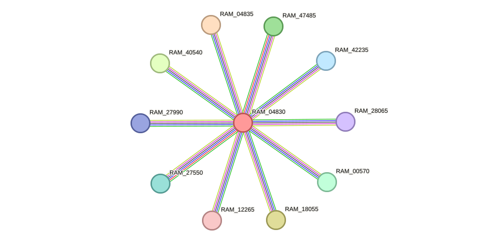STRING protein interaction network