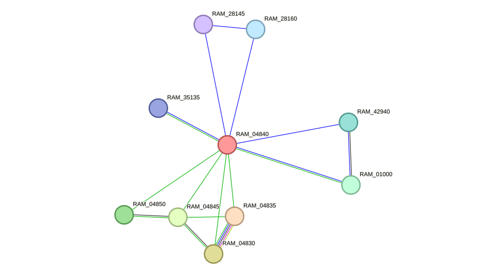 STRING protein interaction network