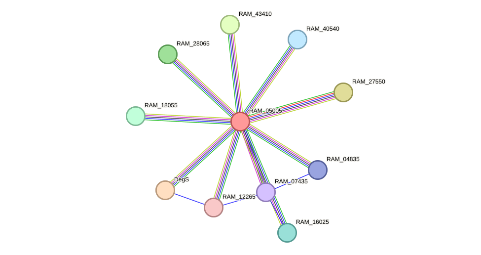 STRING protein interaction network
